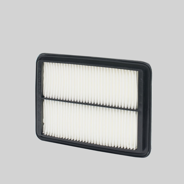 Donaldson P506065 Filtro de Aire Panel