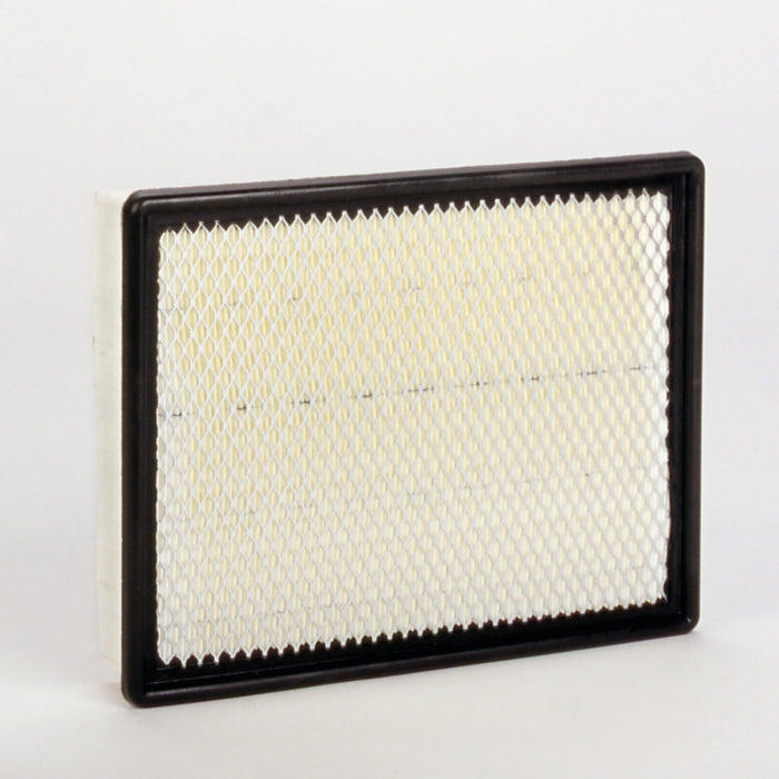 Donaldson P548963 Filtro de Aire Panel