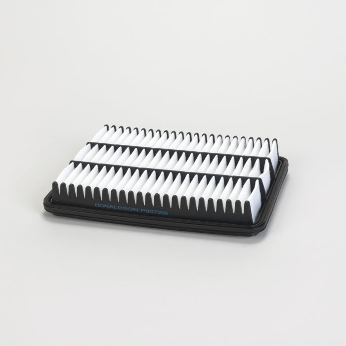Donaldson P607256 Filtro de Aire Panel Cabina