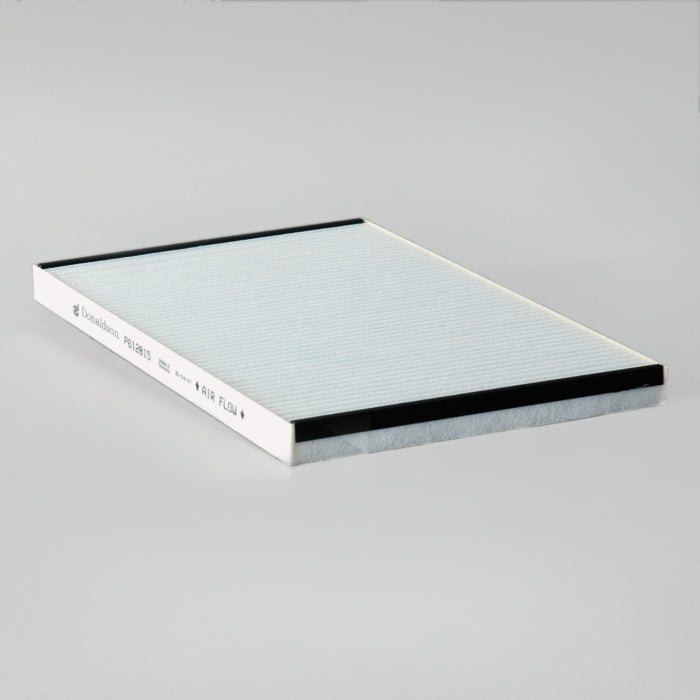 Donaldson P612815 Filtro de Aire Panel Cabina
