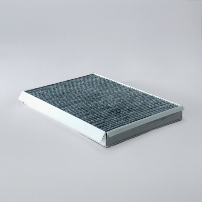 Donaldson P616898 Filtro de Aire Panel Cabina