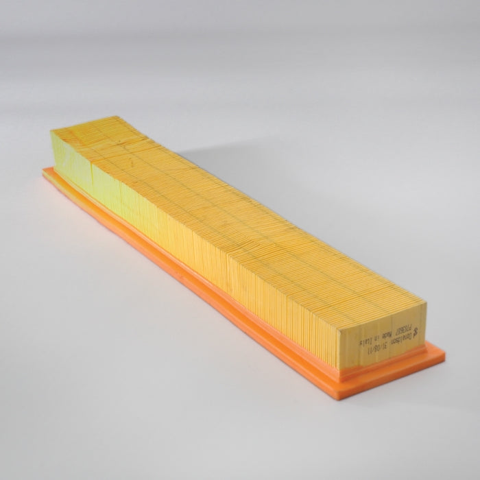 Donaldson P783687 Filtro de Aire Panel Cabina